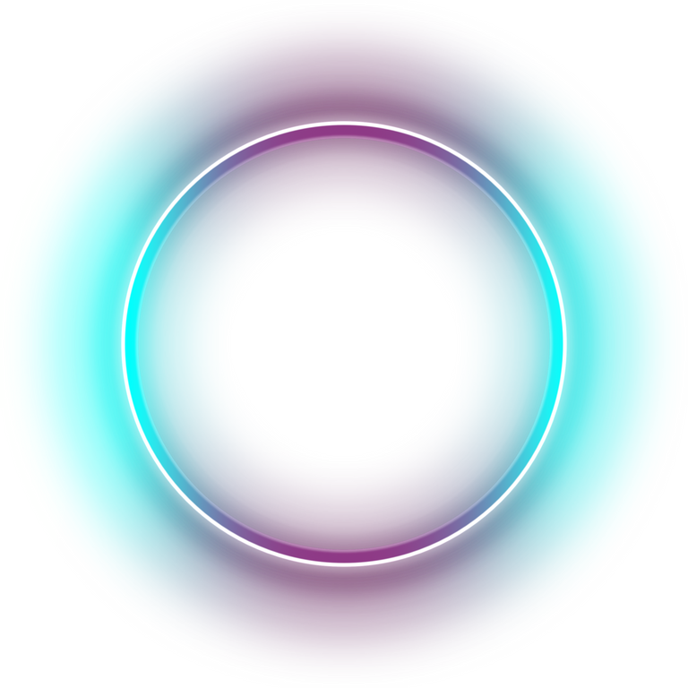 Neon circular frame