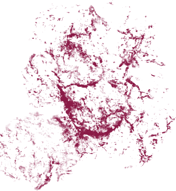 Pink Marble Smoke Texture
